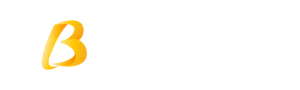 Baldota Builders and Developers